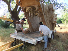Photo of crew intalling Dragon Tree
