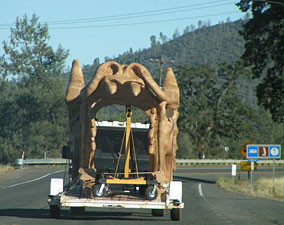 Photo of Dragon Tree on back of trailer
