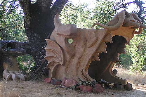 Photo of Dragon Tree installed