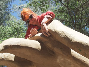 Photo of artist working on top of Dragon Tree