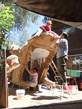 Photo of artist working on top of Dragon Tree